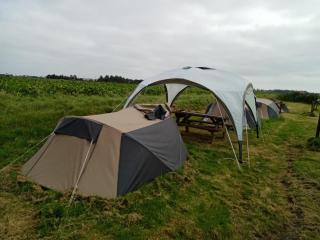 Basic 2p tent Sotterum - Cornwerd - 4