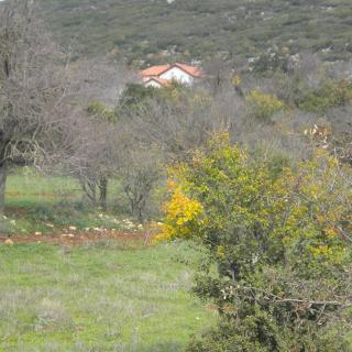 Stone House in a quiet landscape, Leonidion - Leonidio - 6