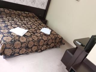 Park Hotel Stratesh - 4