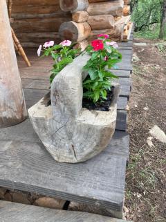 Chez Buddy - cabane de trappeur - Peaugres - 2