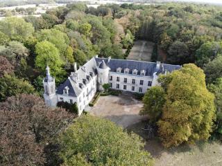 Château de Charnizay - Charnizay - 9