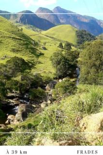 Hospedagem Doce Lar - Casa Azaleia - 1