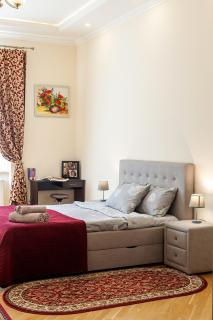 Apartment on Tamanska - вулиця Дарії Гусяк - Lviv - 9