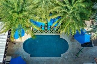 Plantation Acres Luxury Mansion & Private Pool - Plantation - 8