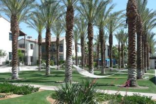 Luxurious Villa with Majestic Mountain View, 12 Pools, Spas, Ground Floor - La Quinta - 2