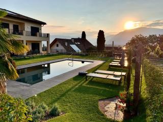 Weingut Gasshof- Panorama Pool in den Weinbergen - 3