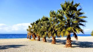 Malalbergo - Reggio di Calabria - 1
