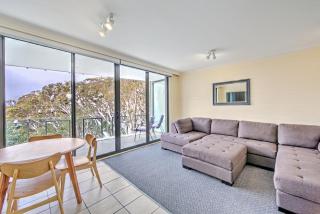 Snow Ski Apartments 34 - Falls Creek - 7