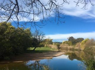 Bord de mer avec vue - 8