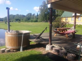 Aratsaare Holiday home - Kõpu - 3