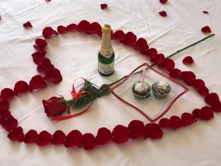 Pensiunea Pont-Euxin - 5