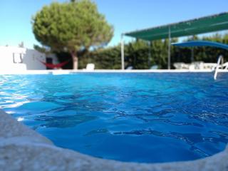 SOLECITO - Chiclana de la Frontera - 0