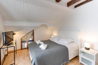 Le Triplex Carnot - Apartment with air conditioning for 5 people - Annecy - 2