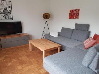 FeWo Körner Seinsheim im Weinparadies - 1