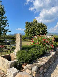 Agriturismo Fior di Maggio - Pescantina - 9