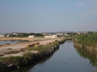Forty One - Marsala - 4