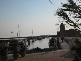 Forty One - Marsala - 0