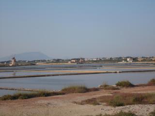 Forty One - Marsala - 2