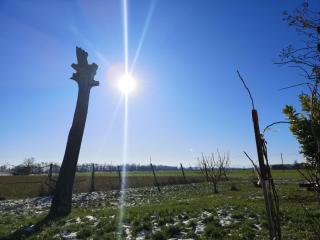 B&B DE CAROL - Gramignazzo - 9