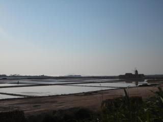 Forty One - Marsala - 1