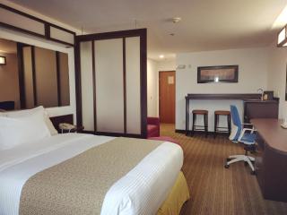 Microtel Inn and Suites by Wyndham Toluca - Toluca - 0
