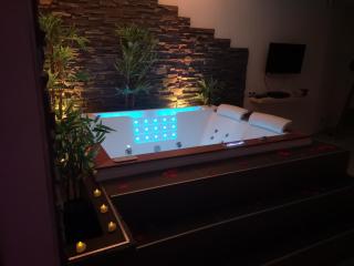 Appart' spa privatif Gray - 1