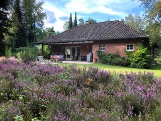 Landhaus mitten in der Lüneburger Heide - 6