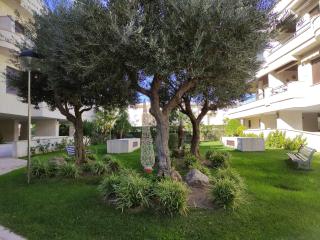 Apartamento Costa de la Luz - Rota - 6