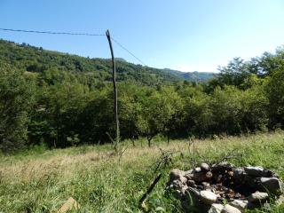 Romantic yurt in Apuseni mountains - Grohoţele - 7