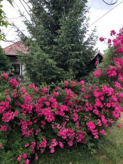 Liliána vendégház - Terény - 6