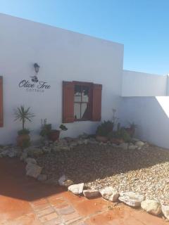 Olive Tree Cottage - 0