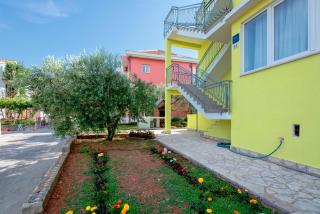 Maslina Apartments - Stari Grad - 5