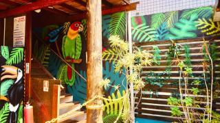 Beija Flor Pousada - 1