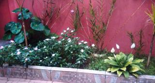 Cantinho da Paz - Bertioga - 4