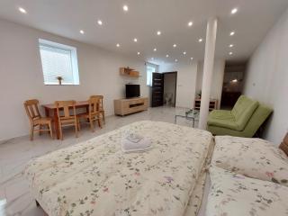 Vehlovice Apartments - Mělník - 5