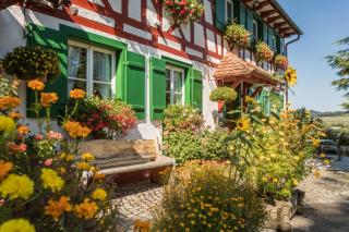 Ferienwohnung Risthof 1 - Owingen - 6