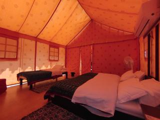 Shivir Aranya - Wilderness Resort - Alwar - 2