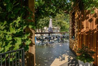 Villa Pinia Eco-hotel - Odesa - 3