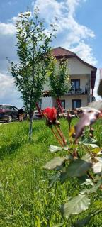 Pensiunea Diana - Novaci-Străini - 9