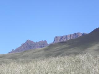 Little Acres Drakensberg Accommodation - 1