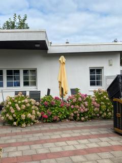 Ferienhaus Thönnes - Norderney - 7