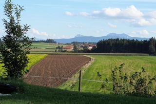 Ferienhaus Eller - 2