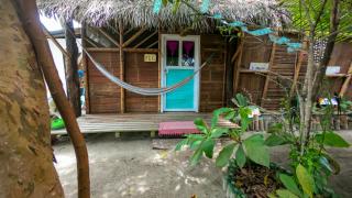 Raices Mompiche - Mompiche - 4