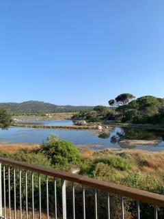 Appartement F2 Salines de Porto Vecchio - Porto-Vecchio - 0