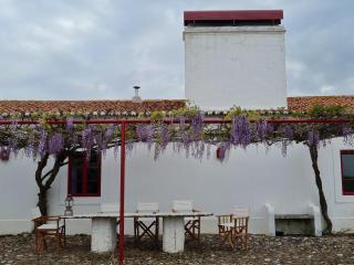 Monte do Arneiro - 2