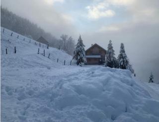 Marhütte - Ebene Reichenau - 9