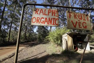 Karriwood Cottage - 7