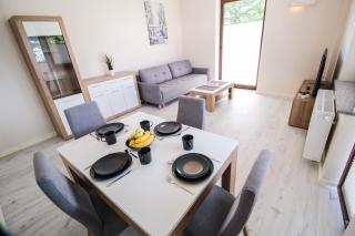 Apartament City Center Classic - Luxury Standard - Krynica-Zdrój - 8