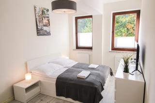 Apartament City Center Classic - Luxury Standard - Krynica-Zdrój - 7