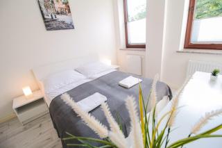 Apartament City Center Classic - Luxury Standard - Krynica-Zdrój - 4